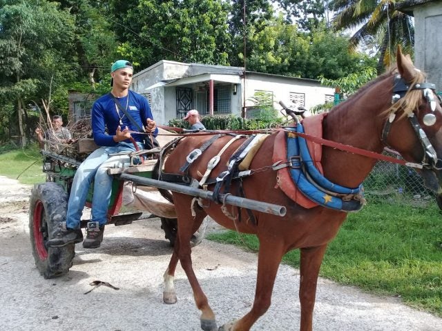 Cuba tracción animal crisis combustible energética  hoteles turismo